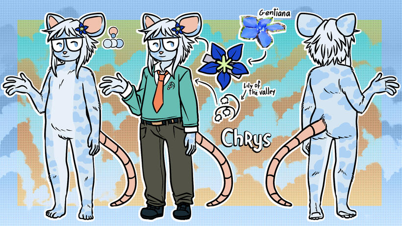Chrys